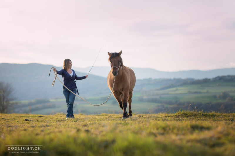 Shooting cheval coucher du soleuil