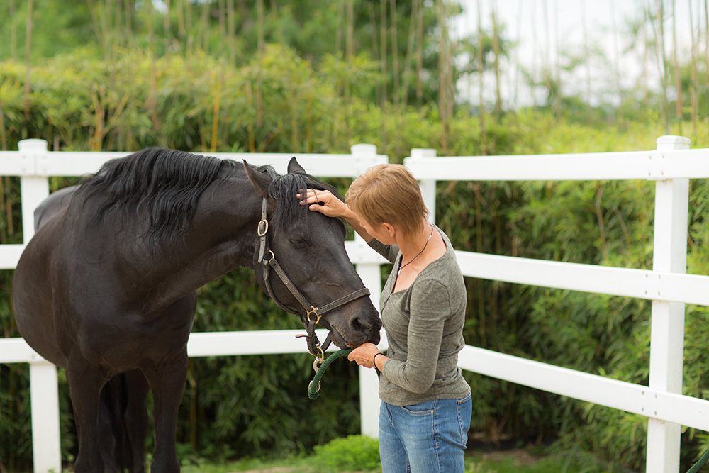 Photographe thérapeute cheval